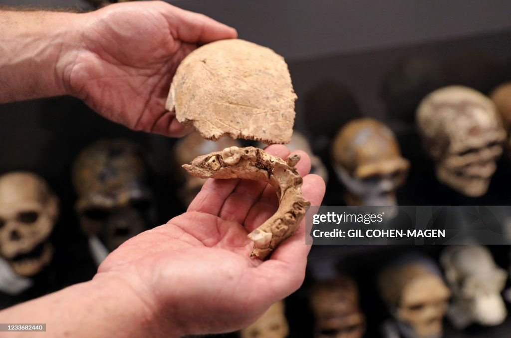 ISRAEL-ARCHAEOLOGY-ANTHROPOLOGY-PALAEONTOLOGY