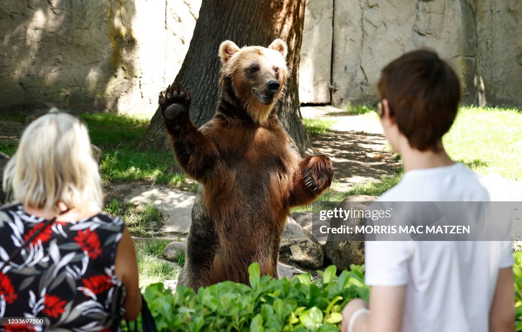 GERMANY-ANIMALS-ZOO-BEAR
