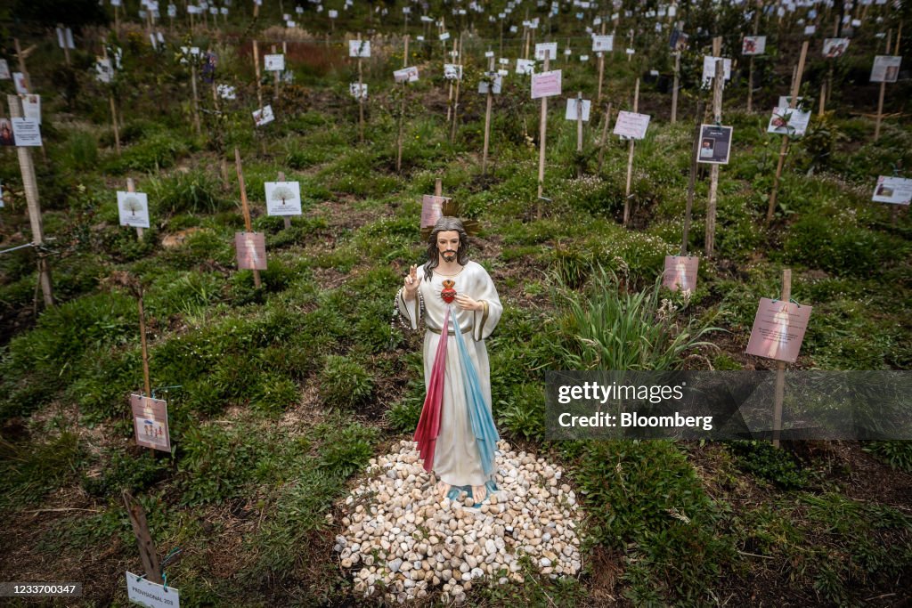 Families Plant Trees With Ashes Of Covid Victims As Deaths Surge Past 100,000
