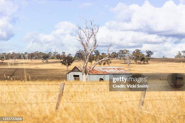 looking at an old building in the country through the wheat grass at sunrise with clouds and blue sky - country new south wales stock pictures, royalty-free photos & images