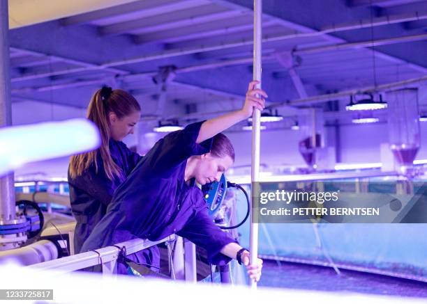 Workers check the water quality at the Fredrikstad Seafoods land-based salmon farm in Fredrikstad, Norway on June 10, 2021. - Onshore salmon farming...