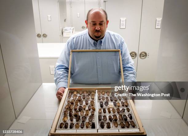 Ed Riley Insect Collection 423 Entomology Research Museum Stock Photos, High-Res Pictures, and ...