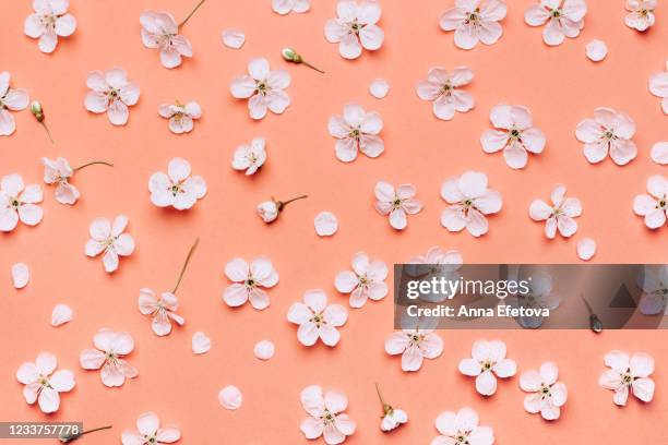 beautiful floral wallpaper. - peach flower stock pictures, royalty-free photos & images