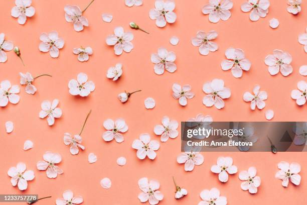 beautiful floral wallpaper. - spring floral pattern stock pictures, royalty-free photos & images