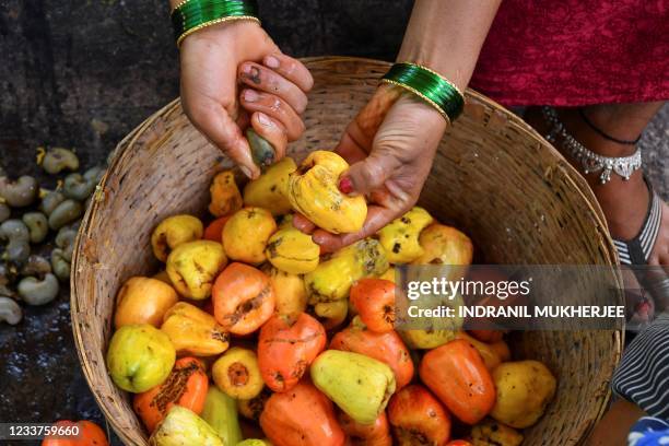 In this picture taken on March 13 a worker separates cashew nuts from apples at a farm belonging to the Madame Rosa distillery at Pilerne in North...