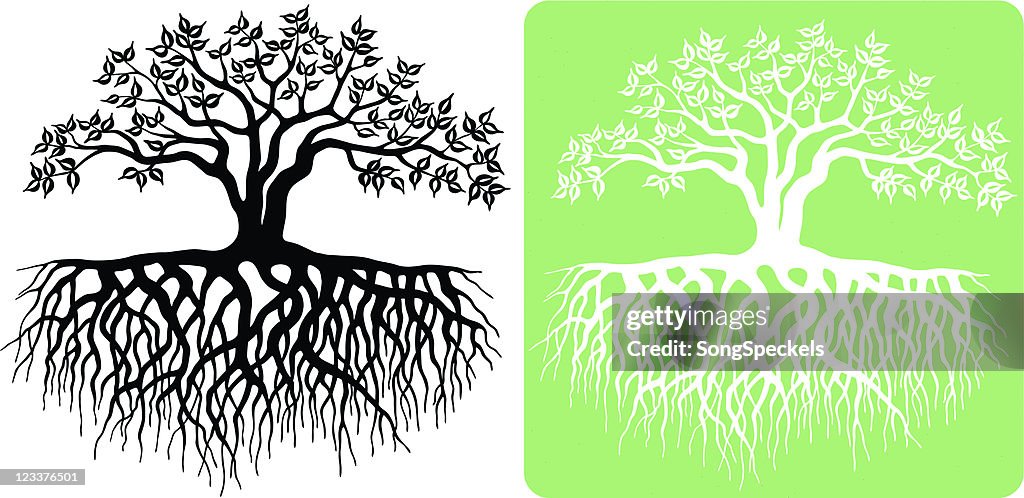 Tree with Roots