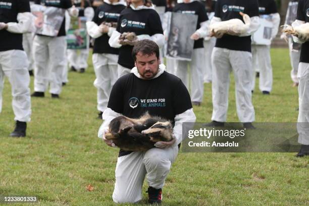 Embaled Animal Embalmed Photos and Premium High Res Pictures - Getty Images