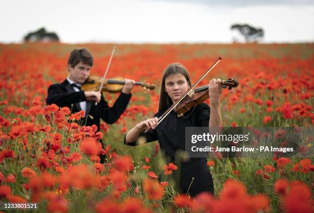 Viktor Seifert and his sister Klara Seifert play the Wilfred Owen and Siegfried Sassoon violins surrounded by poppies in a field near Edinburgh to...