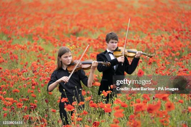 Viktor Seifert and his sister Klara Seifert play the Wilfred Owen and Siegfried Sassoon violins surrounded by poppies in a field near Edinburgh to...