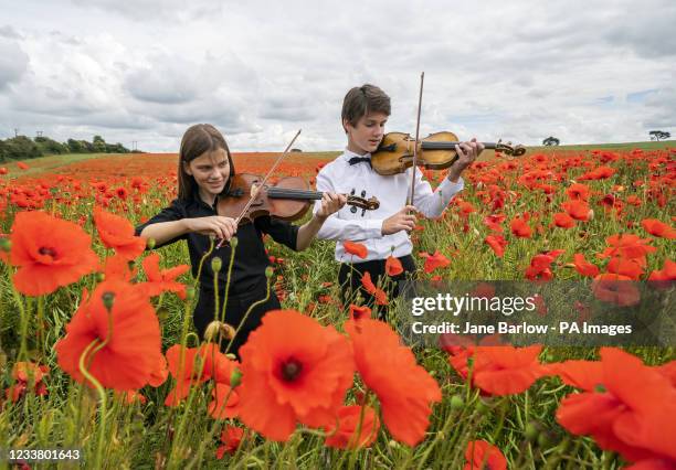 Viktor Seifert and his sister Klara Seifert play the Wilfred Owen and Siegfried Sassoon violins surrounded by poppies in a field near Edinburgh to...