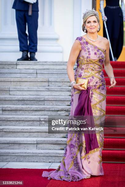 Queen Maxima of The Netherlands visits with King Willem-Alexander of The Netherlands Schloss Bellevue where German President Frank-Walter Steinmeier...