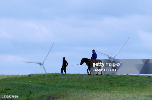 Tourists visit the Grassland Heaven Road in Bashang, Zhangjiakou, north China's Hebei Province, July 6, 2021.&#xA;