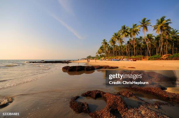 morjim beach, goa, indien - goa beach stock-fotos und bilder