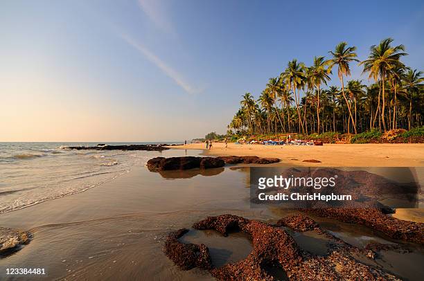 morjim beach, goa, india - goa stock pictures, royalty-free photos & images