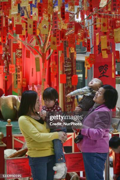 Baby admires the red envelopes, coins, and lucky tickets hanging on the good luck Wish Tree during the Chinese Lunar New Year in Markham, Ontario,...