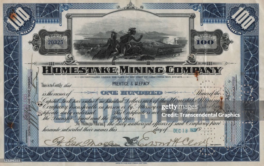 Homestake Mining Stock