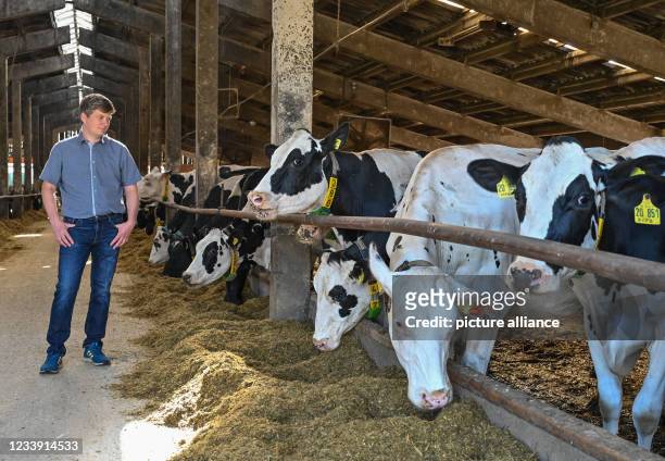 July 2021, Brandenburg, Klein-Mutz: Andreas Paries, farmer, stands in a barn with dairy cows. Since the beginning of the year, the farm he runs with...