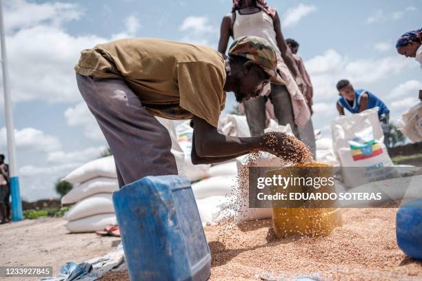 Man puts wheat into a container during a food distribution organized by the Amhara government near the village of Baker, 50 kms South East of Humera,...