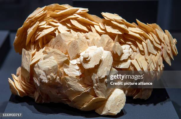 July 2021, Saxony, Freiberg: This calcite specimen from China, which can be seen in the mineral collection "Terra Mineralia" of the TU Bergakademie...