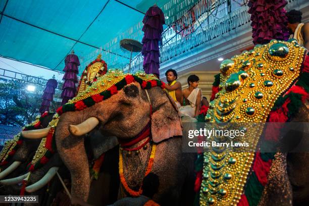 Hindu spring festival in Temple on 28th February 2018 near Kovalam, Kerala, India. Hindu and Buddhist traditions give elephants an elevated status....