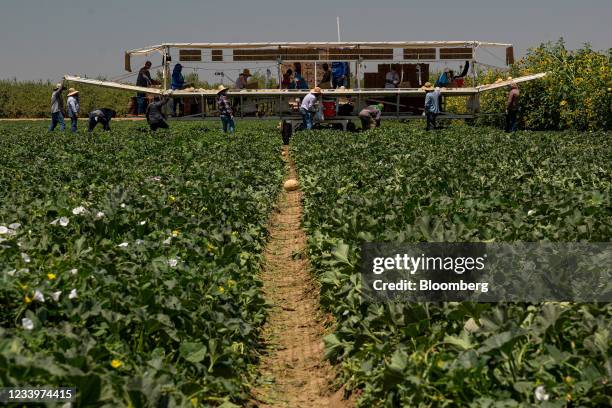 Firebaugh 535 Firebaugh California Stock Photos, High-Res Pictures, and Images ...