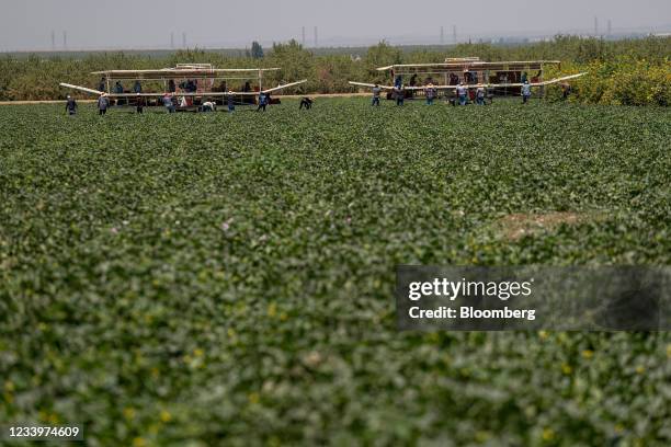 Firebaugh 535 Firebaugh California Stock Photos, High-Res Pictures, and Images ...