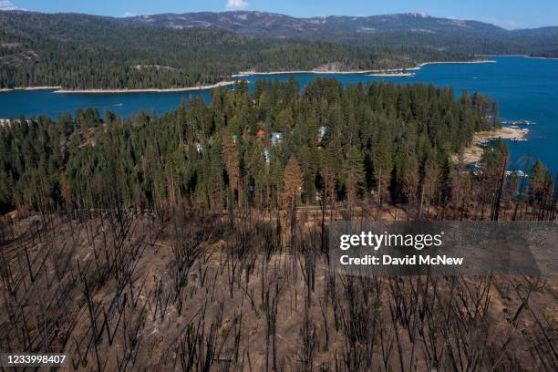 In an aerial view, forest that was burned by the Creek Fire, which began on September 4, 2020 and was fully contained on December 24, abuts Shaver...