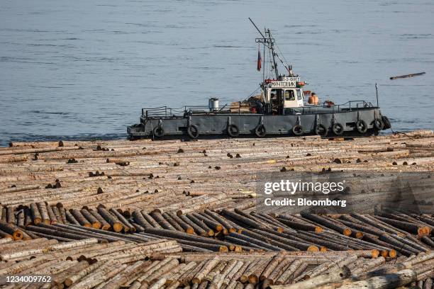 Log Raft Large Wooden River Raft Photos and Premium High Res Pictures - Getty Images