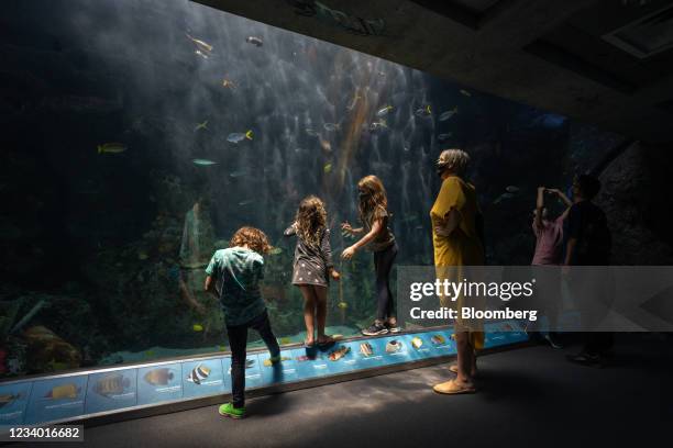 Visitors wear protective masks at an exhibit at the Aquarium of the Pacific in Long Beach, California, U.S., on Friday, July 16, 2021. Los Angeles...