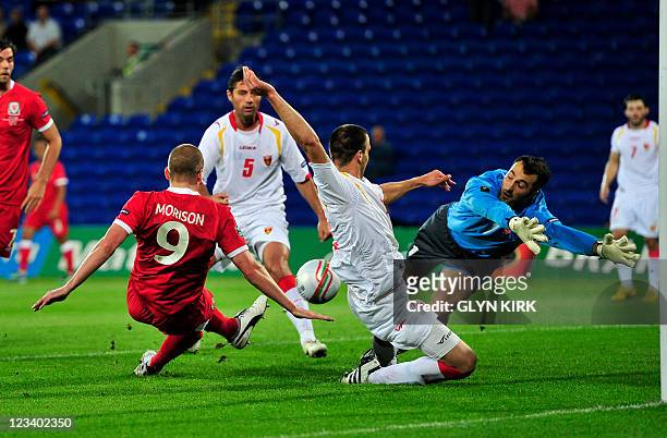 Wales' striker Steve Morison scores the opening goal past Monenegran goalkeeper Mladen Bozovic during the Euro 2012, Group G qualifying football...