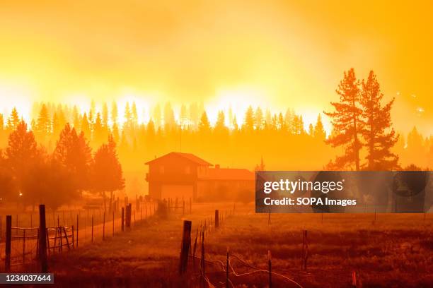 Huge cloud of fire and smoke seen over a house located across. The Tamarack fire has rapidly gained size and continued to burn through the night,...