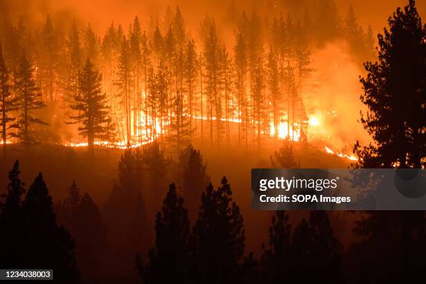 Trees burn through the night at the Tamarack fire. The Tamarack fire has rapidly gained size and continued to burn through the night, over 6500 acres...
