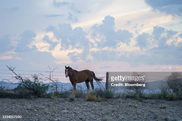 Horse roams along State Highway 54 in Culberson County, Texas, U.S., on Sunday, July 18, 2021. A dot on the map, Van Horn, is just a 40-mile drive to...