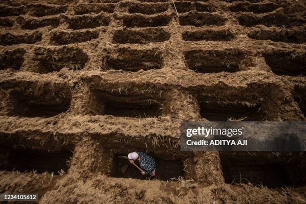 Cemetary worker digs grave holes for victims of the Covid-19 coronavirus at Setu Gede cemetery in Bogor, West Java on July 22, 2021.