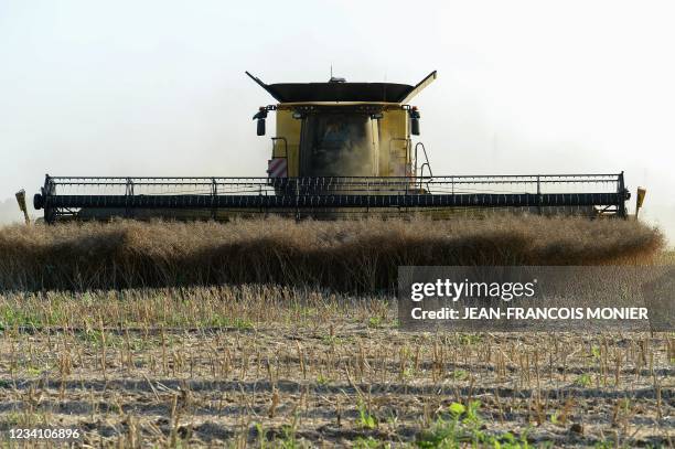 French farmer and agricultural contractors harvest colza, with a tracked combine harvester of the 13,80 metres wide variety, in the region of La...