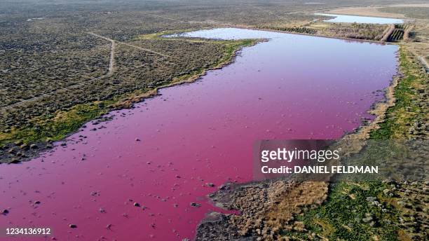 Aerial view of a lagoon that turned pink due to a chemical used to help shrimp conservation in fishing factories near Trelew, in the Patagonian...