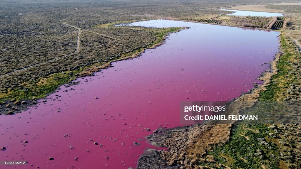 TOPSHOT-ARGENTINA-PINK-LAGOON