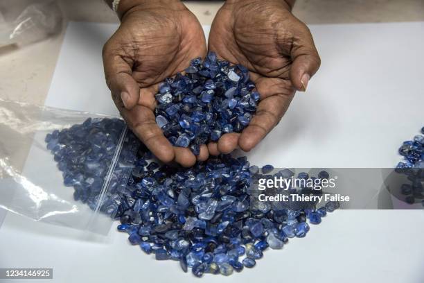 Bunch of rough sapphires are ready to be heated in order to remove impurities and clarify color. Sapphires from Sri Lanka, mostly found in alluvial...