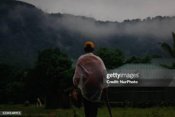 Rice farmers of Calawis in Antipolo City, Philippines are plowing the soil to plant rice grain on July 24, 2021. Farmers in the Philippines are...