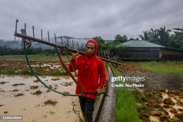 Rice farmers of Calawis in Antipolo City, Philippines are plowing the soil to plant rice grain on July 24, 2021. Farmers in the Philippines are...