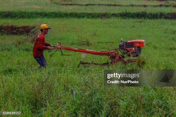 Rice farmers of Calawis in Antipolo City, Philippines are plowing the soil to plant rice grain on July 24, 2021. Farmers in the Philippines are...