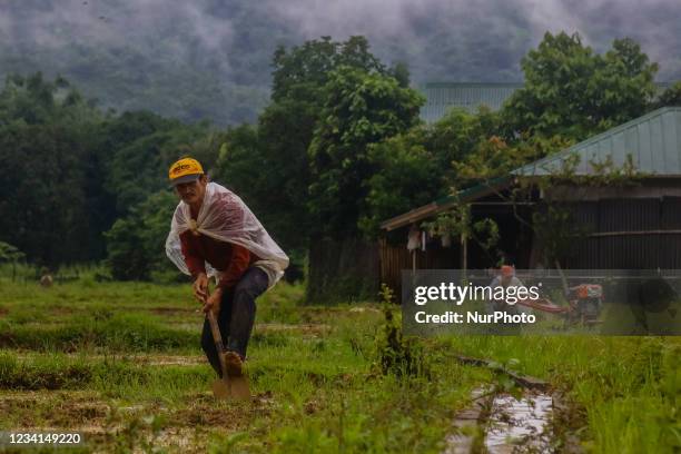 Rice farmers of Calawis in Antipolo City, Philippines are plowing the soil to plant rice grain on July 24, 2021. Farmers in the Philippines are...