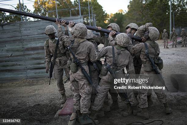 557 Us Army Drill Team Stock Photos, High-Res Pictures, and Images ...