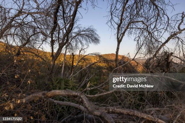 17 Yosemite Forks California Stock Photos, HighRes Pictures, and