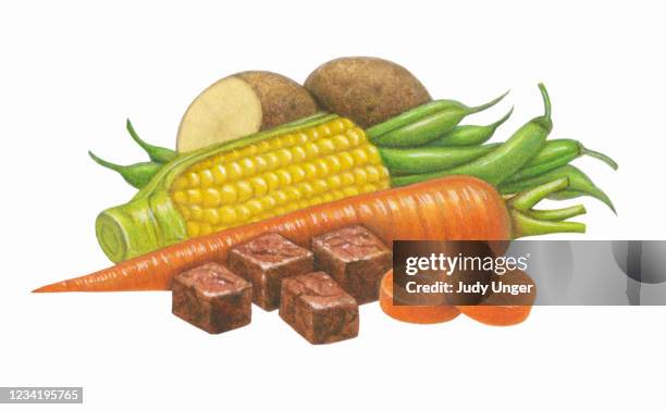 beef supreme dinner - raw beef stock illustrations