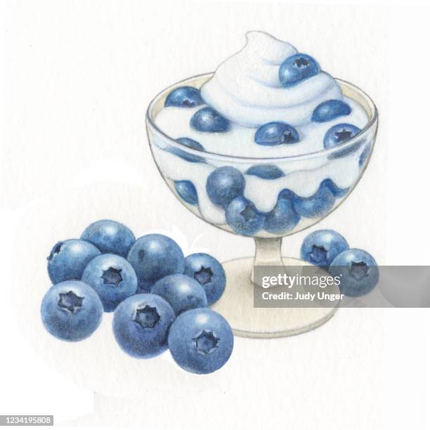 blueberry dessert - blueberry parfait stock illustrations