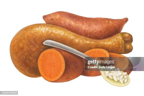turkey and yams - roasted vegetables stock illustrations