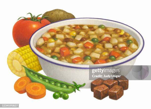 beef vegetable soup - green pea soup stock illustrations