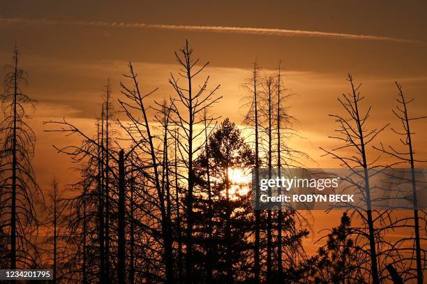 The sun sets behind burnt and dead pine trees destroyed in a 2020 wildfire at Oroville Lake in Oroville, California, July 25, 2021. The Dixie Fire...
