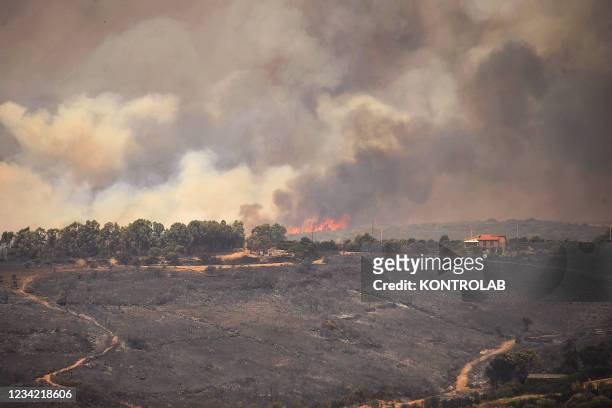 View of hills burnt by wildfires on the South West coast of Sardinia, one of Italy's islands.